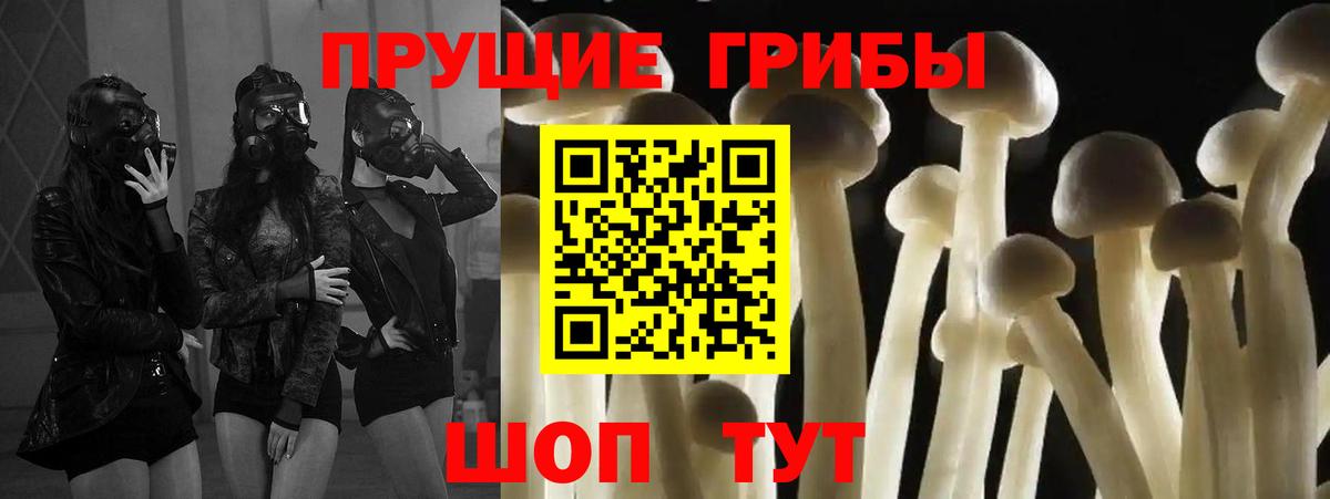 Псилоцибиновые грибы MAGIC MUSHROOMS  Галлюциногенные грибы GOLDEN TEACHER  Вход с VPN  Орёл 